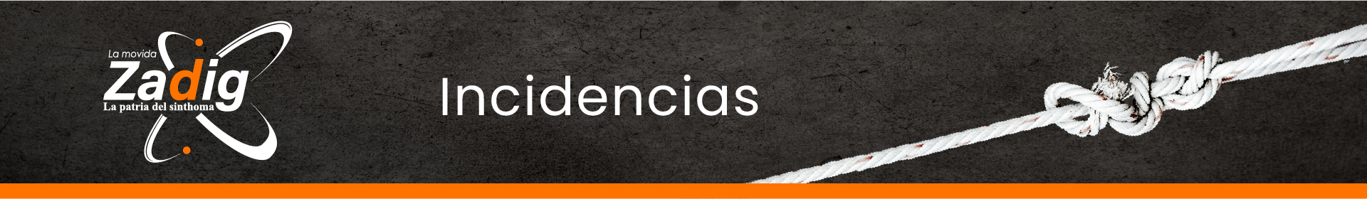 INCIDENCIAS_1920
